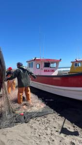 Gallery image of Alojamiento y Desayuno Privado de Lujo C1B in Bucalemu