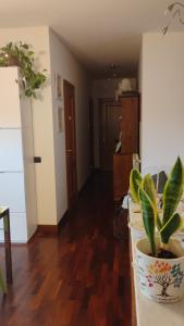 una sala de estar con una maceta sobre una mesa en Maison Laurier, en Fiumicino Airport