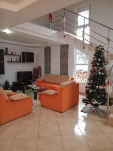 Χώρος καθιστικού στο Casa Alex +20 φωτογραφίες