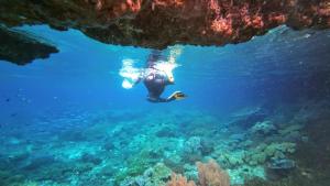 a person swimming in the water near a reef at Rosye homestay raja ampat in Fam