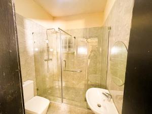 a bathroom with a shower and a toilet and a sink at The Yellow Throw House in Maryland +14 photos