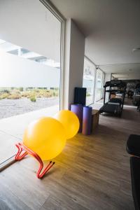 Hermoso depto con vista al mar y solo 50 mtrs de la playa في لا سيرينا: كلب أصفر يجلس على أرضية الغرفة +31 صورة