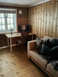 TV a/nebo společenská místnost v ubytování Panoramic Cabin With Fjord Views In Valldal