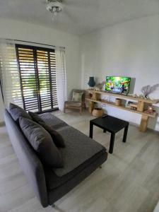 a living room with a couch and a tv at APARTAMENTO EXCLUSIVO Villa Privada Flamboyan in Bayahibe