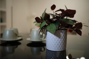 Παροχές για τσάι/καφέ στο Eschilo - Cairoli Apartments