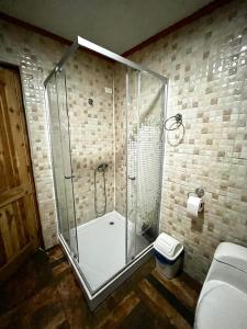a shower stall in a bathroom with a toilet at Hostal Las Heras in Temuco