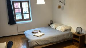 Postel nebo postele na pokoji v ubytování Le T3 AVEC DEUX CHAMBRES