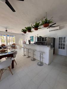 Kuchyň nebo kuchyňský kout v ubytování Mittoz House with beach access in Holbox downtown