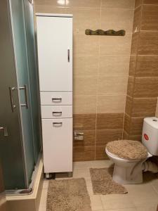 ein kleines Badezimmer mit Toilette und Dusche in der Unterkunft City Comfort Apartment in Vranje