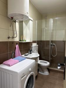 un bagno con lavatrice e WC di DP Lux apartman Obrenovac,sa parkingom a Obrenovac Altre 9 foto