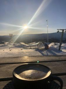 Naturlandskabet i nærheden af lejligheden