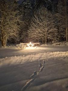 Το Kattugglans Gästrum 2 τον χειμώνα