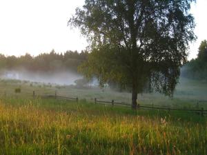 Galeriebild der Unterkunft Kråkeskogsgården, nature in town in Osby