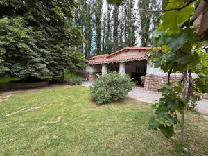 卢汉德库约LA CASONA DE LU的有院子的房子