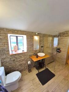 Un baño con lavabo, inodoro y ducha. en Statek Žíšov u Veselí nad Lužnicí, en Žíšov 54 fotos más