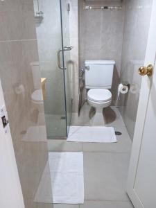 3br luxury sudirman tower ,next mall lippo nusantara في جاكرتا: حمام مع مرحاض ودش زجاجي