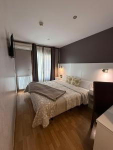 um quarto com uma cama grande e uma televisão em Hotel El Acebo em Jaca