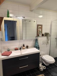 a bathroom with a sink and a toilet and a mirror at Stylish toppleilighet med flott utsikt - sentralt in Vossevangen