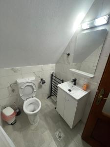 a bathroom with a white toilet and a sink at Cabana A frame Casa Edy in Călimăneşti +38 photos