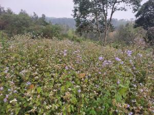 Příroda nedaleko prázdninového domu