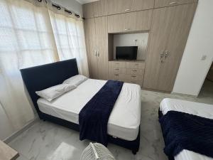 蒙波斯Casa amoblada en la Plaza del jazz的房间里有一张床和一台电视的卧室