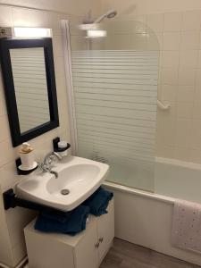 een badkamer met wastafel en douche met spiegel bij La petite boucane in Fécamp