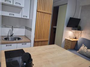 Televiisor ja/või meelelahutuskeskus majutusasutuses APARTMANI Emerald Dream