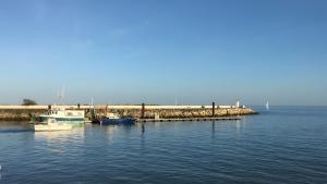 奥雷龙圣皮耶尔Appartement À Saint-Pierre-d'Oléron的船坞,船在水中