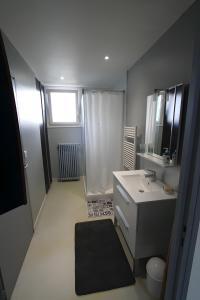 奥雷龙圣皮耶尔Appartement À Saint-Pierre-d'Oléron的带淋浴和盥洗盆的小浴室