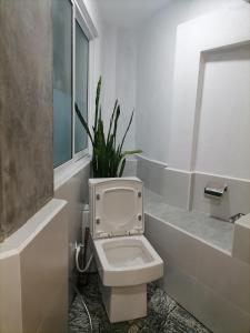a bathroom with a toilet with a potted plant at Roo Heaven Villas in Haputale +18 photos