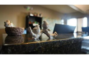 Gallery image of Sierra Inn in Sierra Vista