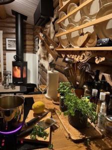 a kitchen with a counter with plants and a stove at Timber Cabin With Wood-Fired Hot Tub In Trysil in Granåsen