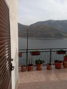 a group of potted plants on a balcony overlooking a lake at Il Piccolo Borgo sul Lago in Rome +24 photos