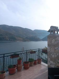 a group of potted plants on a balcony overlooking a lake at Il Piccolo Borgo sul Lago in Rome