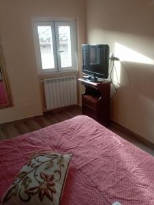 a bedroom with a bed and a tv on a table at Il Piccolo Borgo sul Lago in Rome