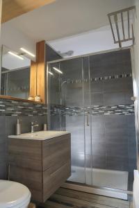 Un baño con ducha, lavabo e inodoro. en Chambres D'hôtes Le Palmier, en Saint-Michel-Mont-Mercure