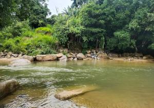 Phong cảnh thiên nhiên gần nhà nghỉ dưỡng