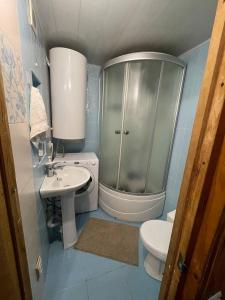 a bathroom with a shower and a sink and a toilet at CenterHouse1 in Karakol