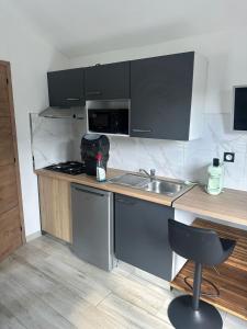 苔丝Apartment - Garden Studio - en extérieur de Bordeaux的一个小厨房，里面有水槽和炉灶。