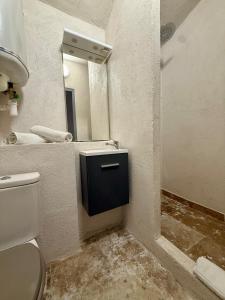 un baño con inodoro y espejo en La Douceur du Fort - Parking, extérieur, vue, en Mercury 13 fotos más