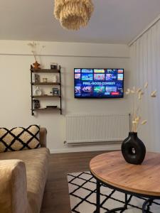 TV a/nebo společenská místnost v ubytování Andrra Apartment