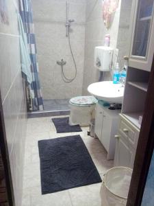 ein Badezimmer mit Dusche, Toilette und Waschbecken in der Unterkunft Holi in Erlauf + 16 Fotos