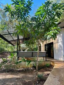 O grădină în afara Peaceful house in nature 5 min drive from beach +10 fotografii