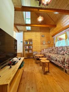 TV a/nebo společenská místnost v ubytování Chata U Hýka