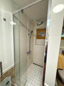 a shower with a glass door in a bathroom at Chata U Hýka in Ludvíkov +51 photos