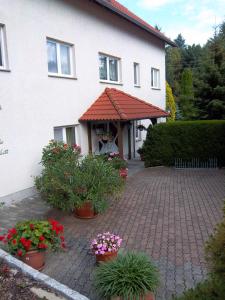 Zahrada ubytování Hotel & Pension Aßmann