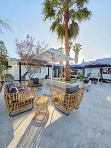 White Cottage Boutique Guesthouse في سواكوبموند: فناء فيه كراسي ومظلة والنخيل