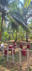 Una fila de sillas rojas en un parque con palmeras. en CoCo Camp Stay, en Honāvar