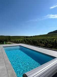 una piscina con vista su un vigneto di Domaine Wagenbourg à Soultzmatt a Soultzmatt