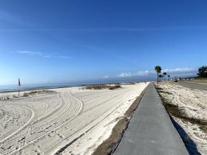 a sandy beach with palm trees and the ocean at White Sand Getaway steps from Beach in Gulfport